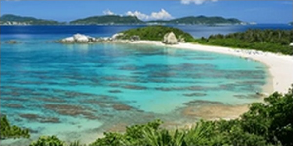 【朝だ生です旅サラダ】沖縄のアートギャラリー 、カフェ 、並木が人気