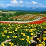 【朝だ生です旅サラダ】北海道の展望台、ラーメン屋、動物園が人気