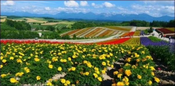 【朝だ生です旅サラダ】北海道の展望台、ラーメン屋、動物園が人気