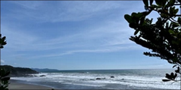 【朝だ生です旅サラダ】高知県中土佐町の鮮魚店とスイーツが人気