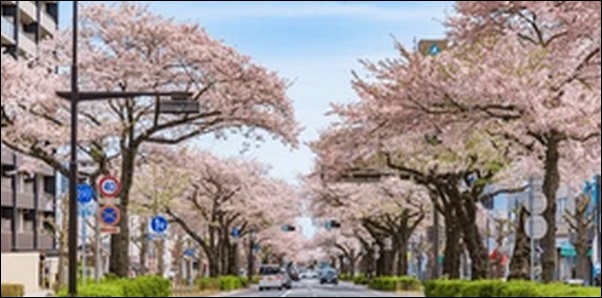 【朝だ生です旅サラダ】茨城県の食材店、定食屋、公園が人気。