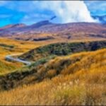 【朝だ生です旅サラダ】熊本県阿蘇市の土産屋、スイーツ、食堂が人気