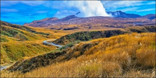 【朝だ生です旅サラダ】熊本県阿蘇市の土産屋、スイーツ、食堂が人気