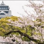 【朝だ生です旅サラダ】熊本県菊池市の焼肉、メロン、ピザが人気。