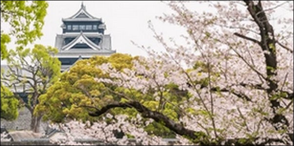 【朝だ生です旅サラダ】熊本県菊池市の焼肉、メロン、ピザが人気。