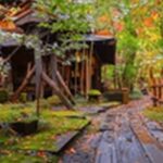 【朝だ生です旅サラダ】熊本県熊本市のラーメン、郷土料理馬肉を紹介