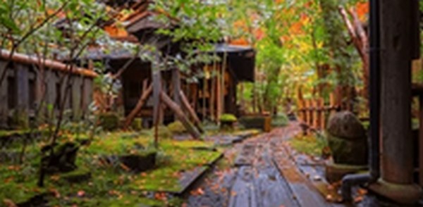 【朝だ生です旅サラダ】熊本県熊本市のラーメン、郷土料理馬肉を紹介