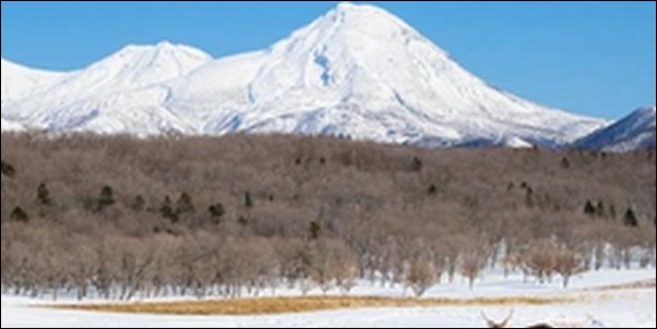 【朝だ生です旅サラダ】北海道知床の神社、滝、そば、海鮮丼を紹介