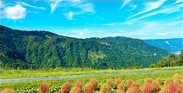【朝だ生です旅サラダ】新潟県のそば、ラーメン、温泉、養鯉場を紹介