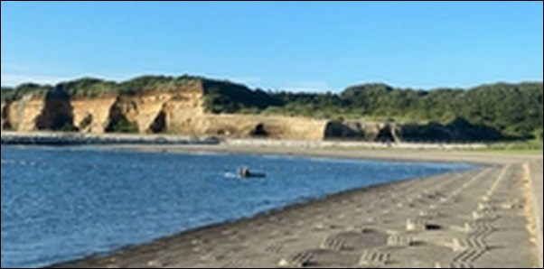 【朝だ生です旅サラダ】千葉県の売店、灯台、温泉、神社を紹介