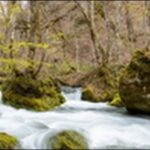 【朝だ生です旅サラダ】青森県の魚市場、温泉、渓流、史跡を紹介