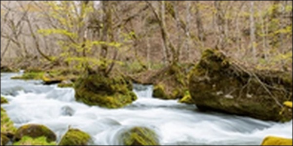 【朝だ生です旅サラダ】青森県の魚市場、温泉、渓流、史跡を紹介