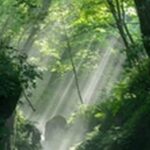 【朝だ生です旅サラダ】長野県軽井沢のカフェ、和菓子屋 滝を紹介