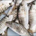 【朝だ生です旅サラダ】徳島県鳴門市「JF北灘さかな市」を紹介