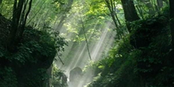 【朝だ生です旅サラダ】長野県軽井沢のカフェ、和菓子屋   滝を紹介