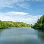 【朝だ生です旅サラダ】宮崎県高千穂町の焼肉店、神社、 鉄道を紹介