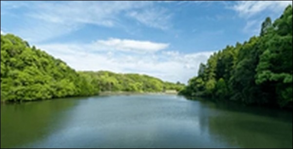 【朝だ生です旅サラダ】宮崎県高千穂町の焼肉店、神社、 鉄道を紹介