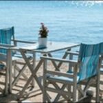 【朝だ生です旅サラダ】岡山県倉敷市うどん屋、イタリアン、農業組合