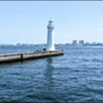 【朝だ生です旅サラダ】兵庫県のカフェ、そば、水族館、ロープウェイ