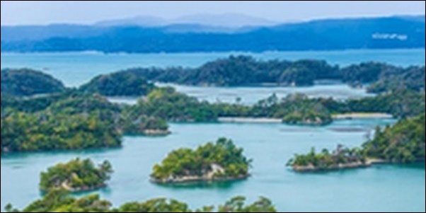 【朝だ生です旅サラダ】宮城県仙台の市場 、スーパー、鮮魚店  惣菜店