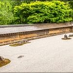 【朝だ生です旅サラダ】京都府のラーメン屋、果樹園、酒屋、醸造所