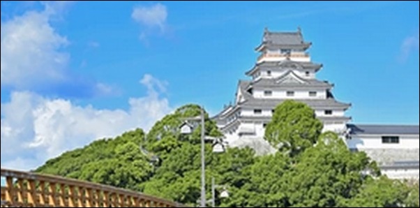 【朝だ生です旅サラダ】佐賀県の海鮮料理店、神社、陶磁器専門店