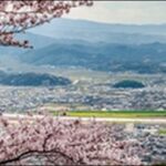 【うさぎとかめ】鳥取県の複合施設、温泉、砂丘、史跡、寺が人気