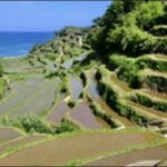 【うさぎとかめ】佐賀県の海鮮料理店と宿泊施設を紹介します。