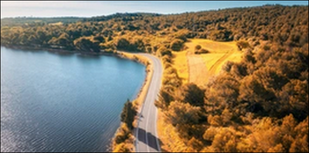 【よ~いドン】広島鞆の浦の海鮮料理 、ジェラート、大福が格別