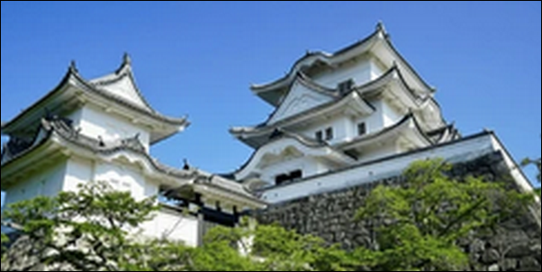 【よ~いドン】三重県伊賀上野のステーキ、カフェ、城、滝が人気!