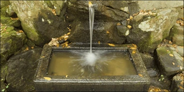 【よ~いドン】奈良天川村のフグ料理、鍾乳洞l、つり橋が人気