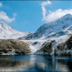 【よ~いドン】富山の天丼、刺身、ガラス工房、公園、海が人気です