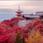 【よ~いドン】京都貴船、漬物、地鶏、みたらし団子が極上