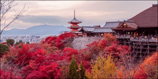 【よ~いドン】京都貴船の漬物、地鶏、みたらし団子、寺が人気