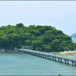 【よ~いドン】愛知県蒲郡のうどん、水族館、かき氷、海鮮料理を紹介