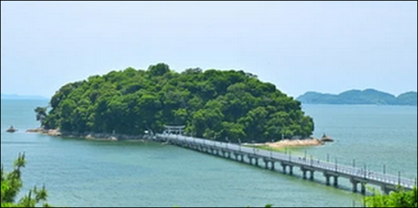 【よ~いドン】愛知県蒲郡のうどん、水族館、かき氷、海鮮料理を紹介。