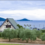 【よ~いドン】香川西讃のうどん、豆腐、かき氷、水族館 、海が魅力