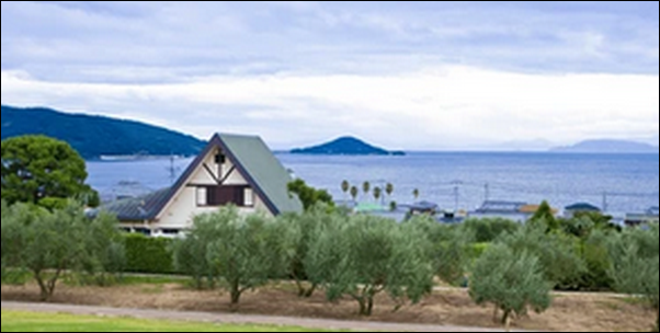 【よ~いドン】香川西讃のうどん、豆腐、かき氷、水族館 、海が魅力