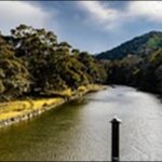 【よ~いドン】三重県菰野の和食、ロープウェイ、テーマパークを紹介