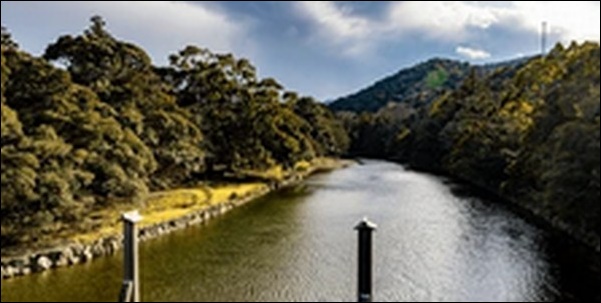 【よ~いドン】三重県菰野の和食、ロープウェイ、テーマパークを紹介