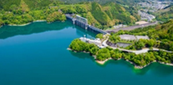 【よ~いドン】高知県の海鮮料理、居酒屋、庭園、洞窟を紹介