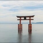 【よ~いドン】滋賀県のそば、肉料理、山、サップ体験サービスを紹介