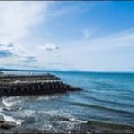 【よ~いドン】三重県の海鮮料理店、肉料理店、水族館、宝石店を紹介