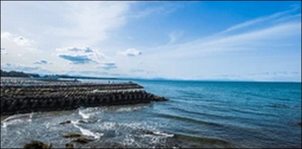 【よ~いドン】三重県の海鮮料理店、肉料理店、水族館、宝石店を紹介