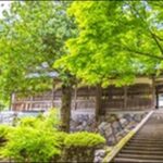 【よ~いドン】福井県の郷土料理屋 、神社 、土産屋、指定文化財を紹介