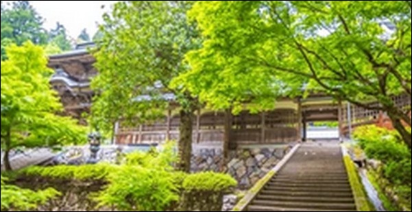 【よ~いドン】福井県の郷土料理屋 、神社 、土産屋、指定文化財を紹介