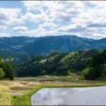 【よ~いドン】兵庫県香美町の滝、ツアー代理店、橋、道の駅 を紹介