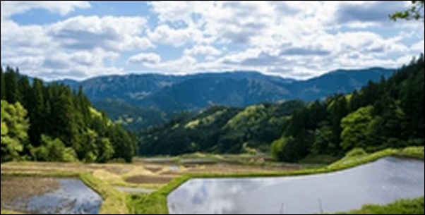 【よ~いドン】兵庫県香美町の滝、ツアー代理店、橋、道の駅 を紹介