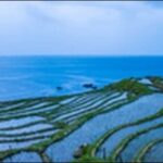 【よ~いドン】石川県白山市の食堂、滝、道路を紹介します。