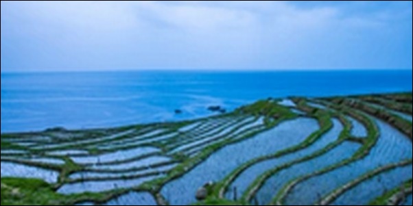 【よ～いドン】石川県白山市の食堂、滝、道路を紹介します。